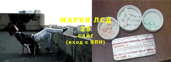 крисы Магас