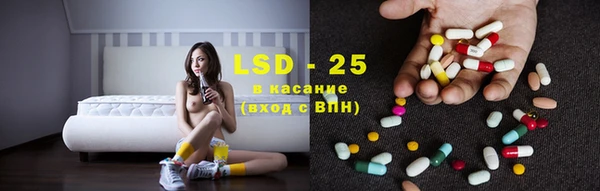крисы Магас