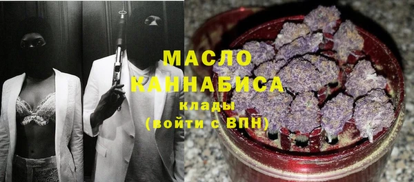 крисы Магас