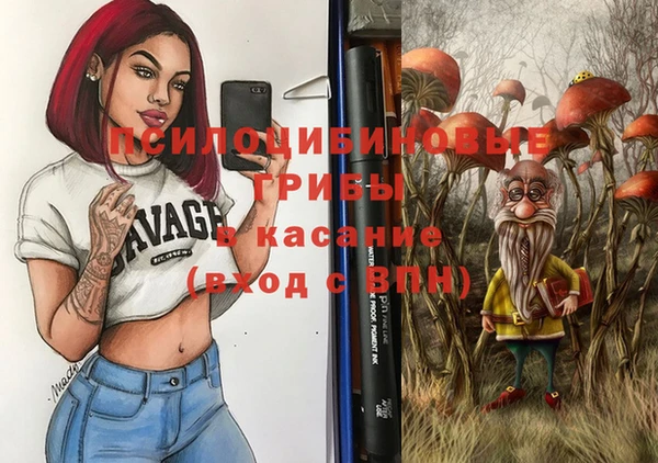 крисы Магас