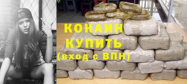 крисы Магас